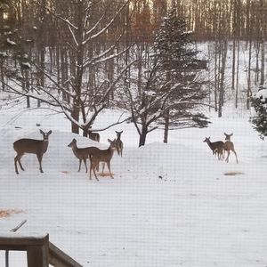 Meet your Posher, Bill